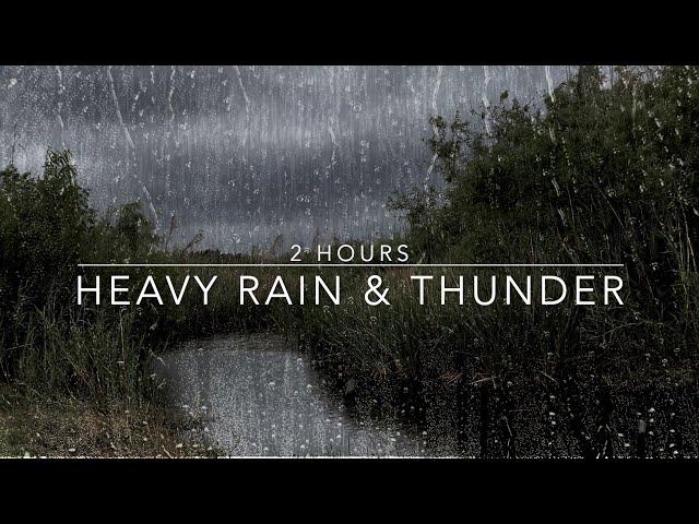 Windy Rain and Thunder Sound - Heavy Rain with Thunder - 2 Hours Rain Sounds for Sleep - Windy Rain