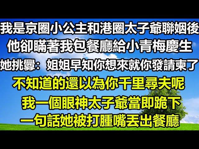 我是京圈小公主和港圈太子爺聯姻後，他卻瞞著我包餐廳給小青梅慶生，她挑釁：姐姐早知你想來就你發請柬了，不知道的還以為你千里尋夫呢，我一個眼神太子爺當即跪下，一句話她被打腫嘴丟出餐廳#狸貓說故事