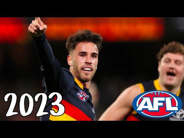 Lachlan Murphy 2023 AFL Highlights