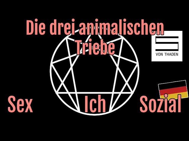 Psychologie: Enneagramm Subtypen / Animalische Triebe im Vergleich zu Freud (Persönlichkeits-Typen)