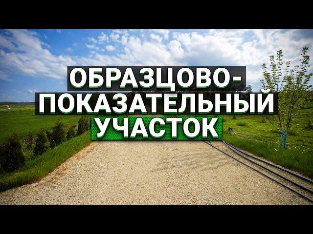 Образцово-показательный участок в 5 га. Радосвет - родовые поместья.