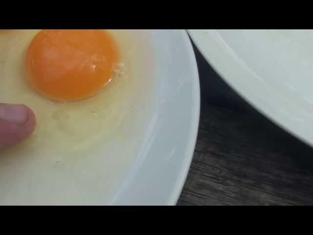 Difference between a fertilised and unfertilised chicken egg