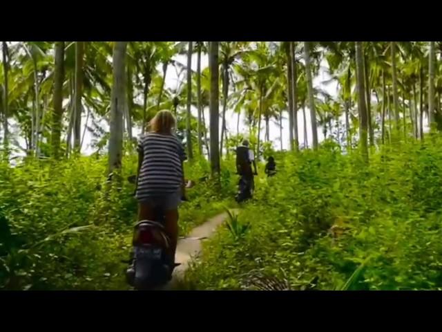ALEX HAYES - MY WORLD HD ( THE DAILY LIVING )