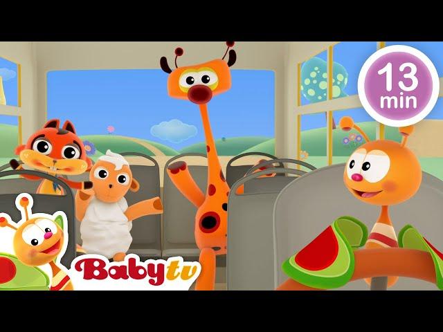 Koła autobusu  + więcej piosenek i rymowanek dla dzieci | BabyTV Polski