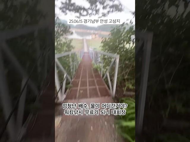 워킹낚시 무료가 되면서 새벽부터 엄청난 인파, 근데 물은 어디에? 고기는 어디? #배스낚시 #고삼저수지