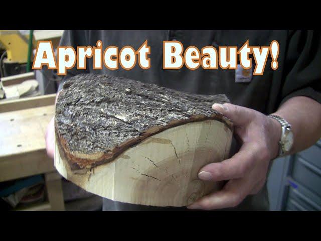 An Apricot Treat!  Wood Turning