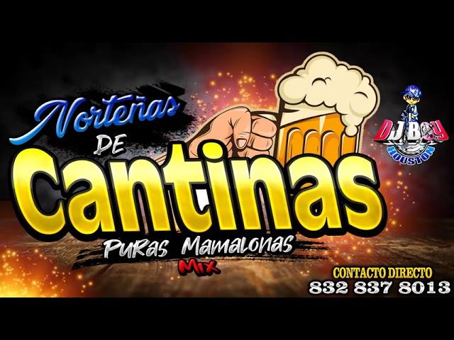 Puras De Cantinas Norteñas Mix Vol 1 - Dj Boy Houston El Original