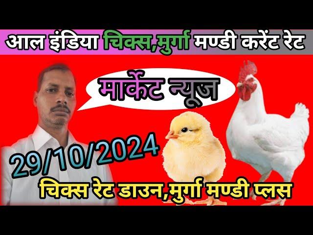 29October2024ke rate/पोल्ट्री रेट टुडे/पोल्ट्री रेट/chicks rate/chicks rate today/poultry rate today