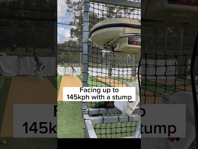 Facing up to 145kph with a stump! #cricket