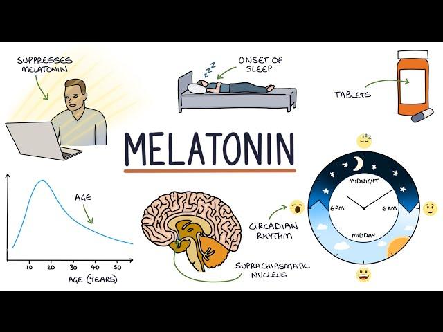 Understanding Melatonin