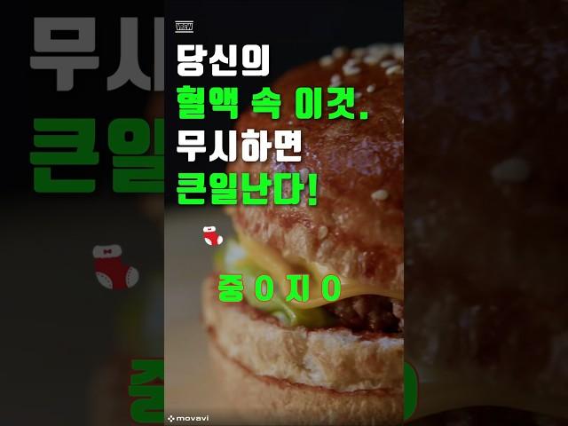 당신의 혈액 속 이것. 무시하면 큰일난다! #건강120세까지 #건강120세 #건강