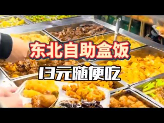 东北自助盒饭，13元随便吃！【咪西裴裴】