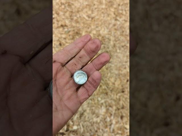 A-L-U-M-I-N-I-U-M twist off️ #metaldetecting #relichunting #treasurehunting