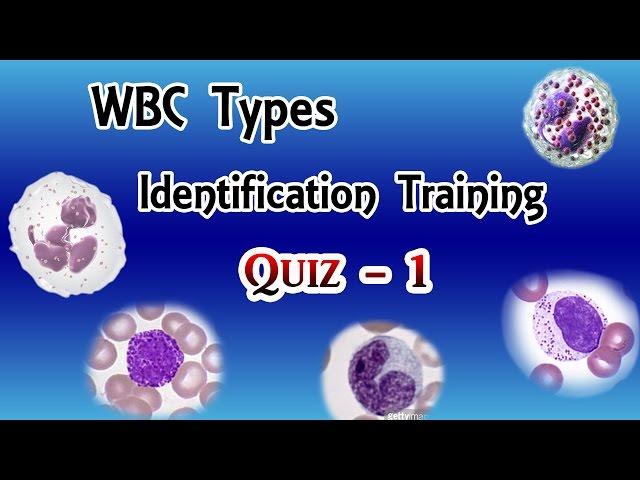 WBC Identification Training  Quiz  ( Part 1/3 )