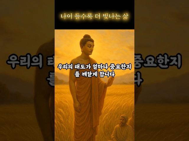 나이 들수록 더 빛나는 삶! 부처님이 전하는 지혜로운 노년 보내는 비밀 3가지｜힐링 낭독｜마음의시간｜#힐링오디오 #마음치유 #부처님말씀 #명상 #마음
