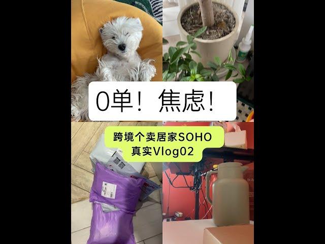 跨境电商个卖0单日常焦虑的真实Vlog 02