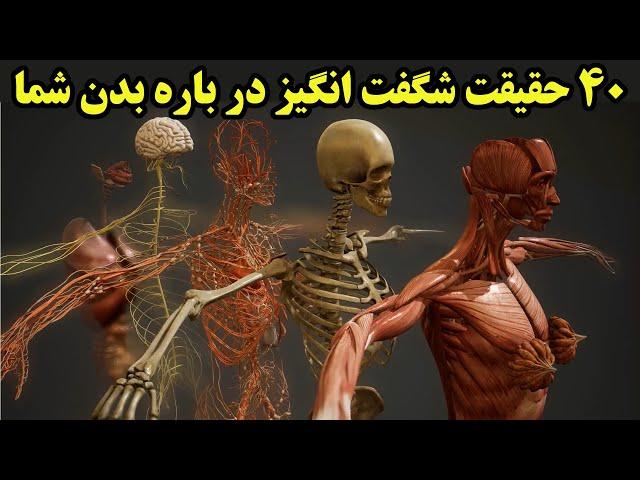 40 حقیقت جالب و شگفت انگیز در بدن شما که نمیدانستید