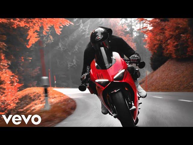 THE RED WOODS | Ducati Panigale V4s (feat. MOTORBIKEMEDIA)