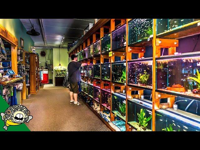 FISH STORE TOUR
