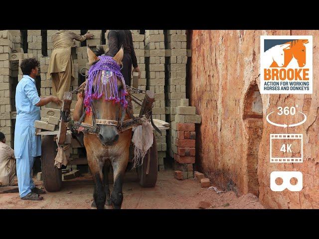 360° VR in 4K – Tour of a brick kiln in Pakistan with people and horses.