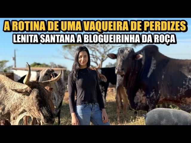 A LINDA ROTINA DO CAMPO NA ROÇA EM MG