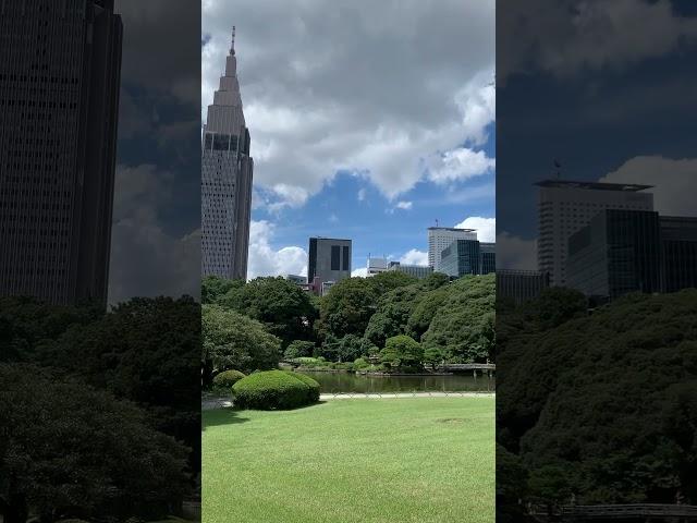 東京版的紐約中央公園 #新宿御苑 #捌玖零夫妻 #公園 #散策 #漫步 #步道 #東京 #日本旅遊