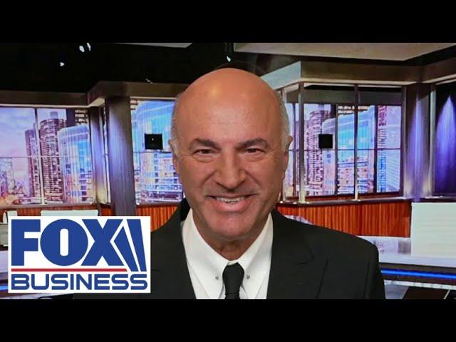 Kamala Harris is ‘paying the price’: Kevin O’Leary