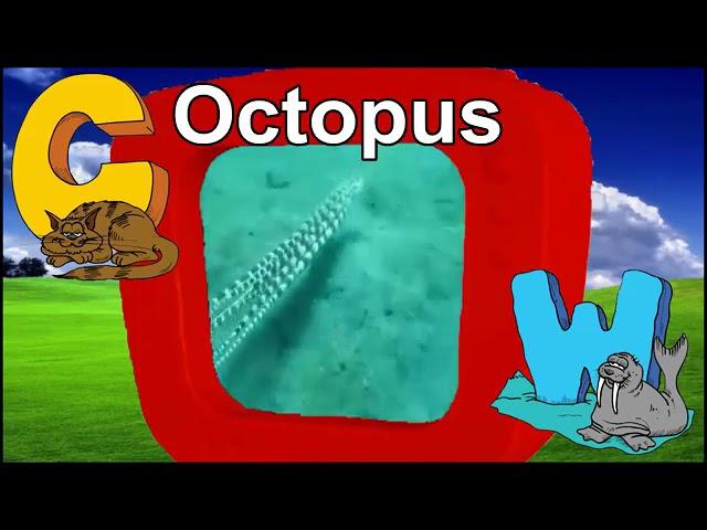 A-Z Animals - Animals of the Alphabet (reupload)