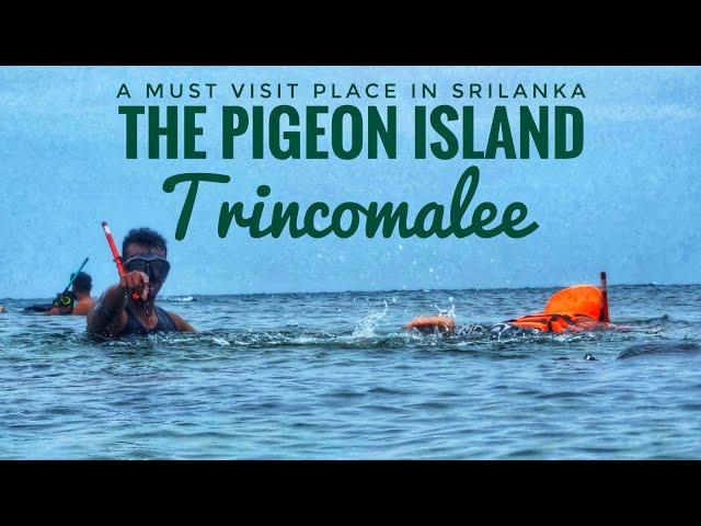 Snorkeling | Pigeon Island Sri Lanka  | Must Visit Place in life | Relaxing time at Nilaveli