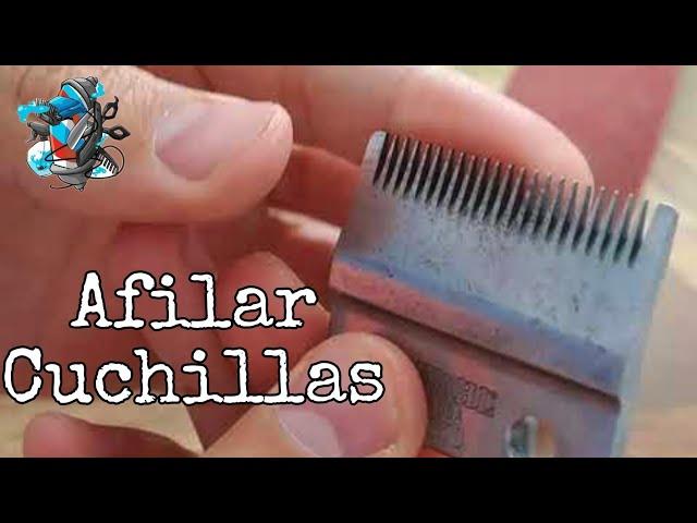 Devolverles el FILO a tus CUCHILLAS en 3 Minutos - ASMR