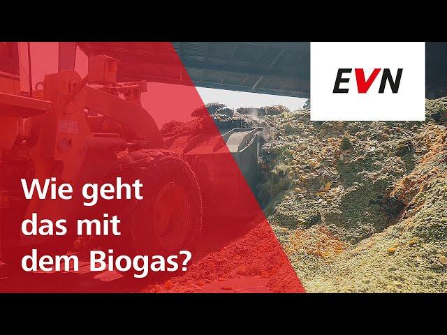 Biogas - Was ist das und was macht die EVN damit?