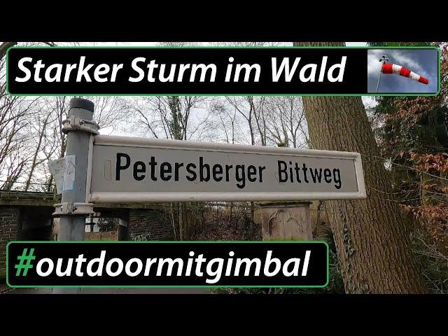 Petersberger Bittweg mit stürmischem Abbruch der Wanderung