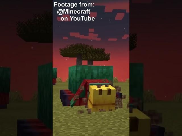 The Minecraft Sniffer is Here!