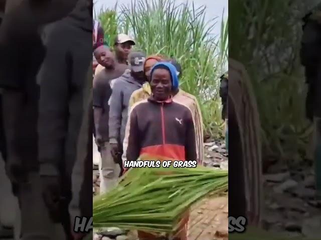 African Lie Detector  #shorts