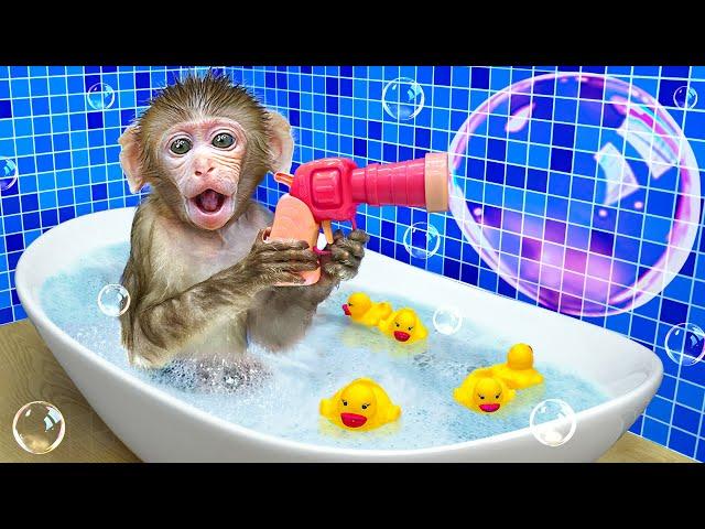 KiKi Monkey playing Giant Bubble in Bathtub with Duckling in the toilet | KUDO ANIMAL KIKI