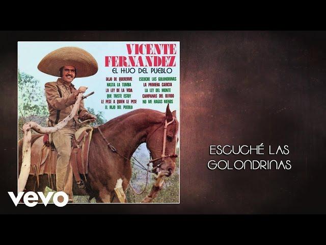 Vicente Fernández - Escuché las Golondrinas (Audio)