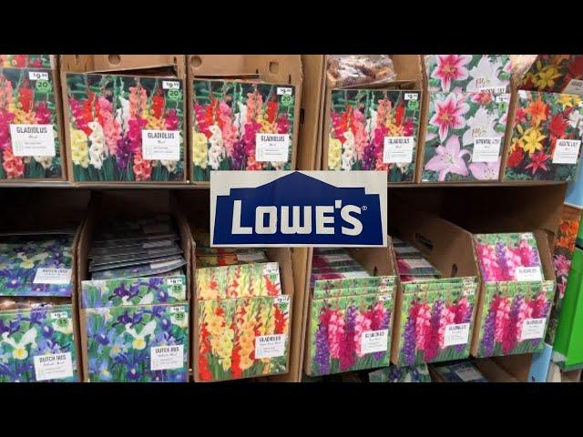 NEW ARRIVALS| Shopping at Lowes for Bulbs and Bare Roots to Plant in Spring