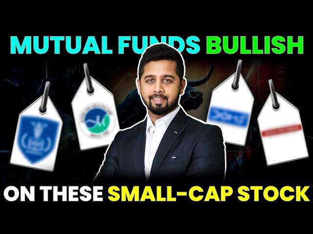 Smallcap stock added by India's top mutual fund houses!