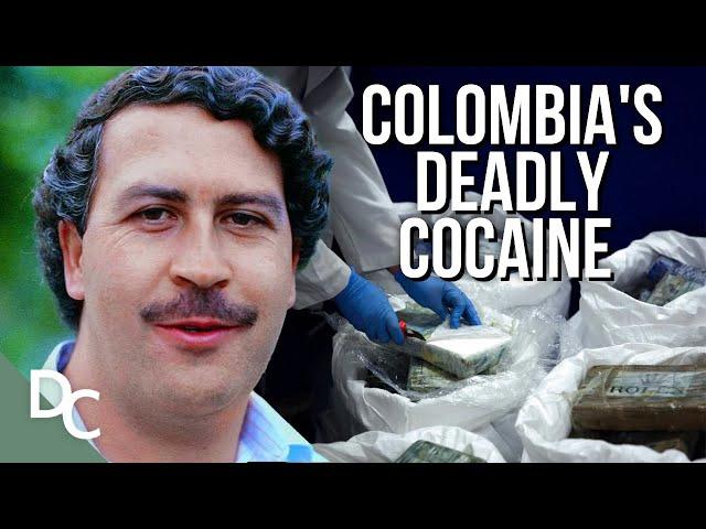 Inside Colombia's Cocaine Underworld | Meet The Drug Lords: Inside The Real Narcos | 2/3 | DC