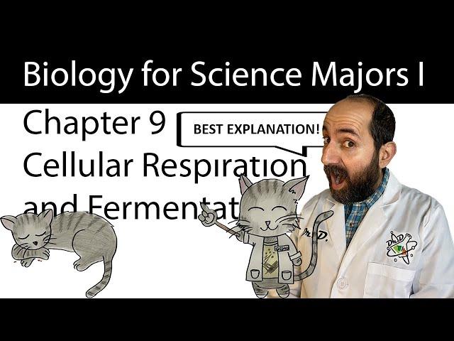 Chapter 9 – Cellular Respiration and Fermentation CLEARLY EXPLAINED!