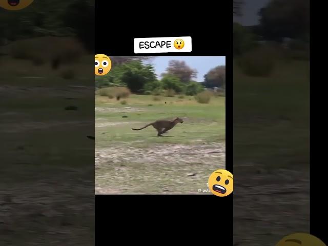 https://youtube.com/shorts/kTERK03Id5U?si=APfWxtLT_rgNPkaO