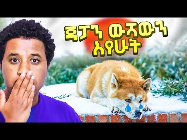 ጃፓን ውሻውን አየሁት japan travel vlog Abel Birhanu