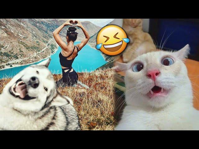 The Funniest Pets Videos Ever №13  | That's Incredibly Fun | JoysPets