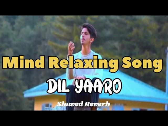 Dil Yaaro Mind Relaxing Song ll Kashmiri latest song ll kashmiri New song