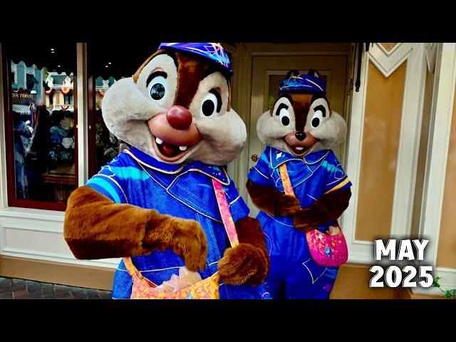 Walkthrough of Disneyland Park - Haunted Mansion, Buzz Lightyear, & Mr. Toad’s - Visit Chip & Dale!