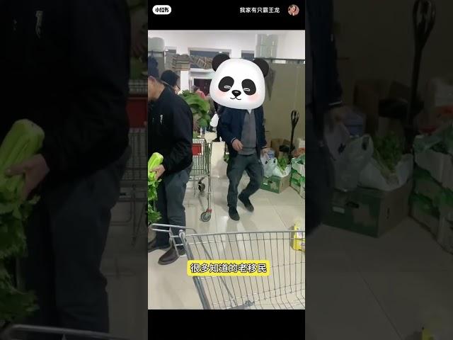 匈牙利半夜去“偷菜”