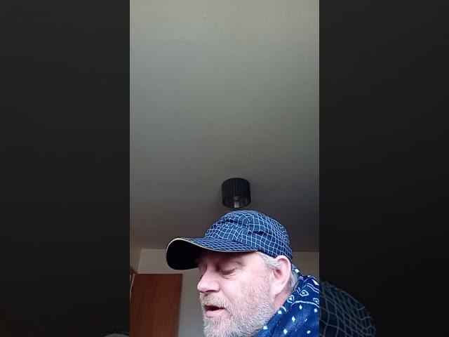 The Mint Song