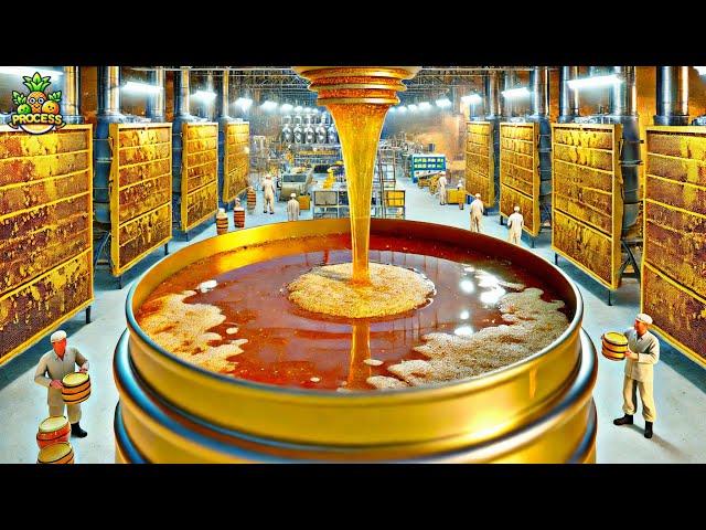 How Honey is Made In Factory | Honey Factory Process