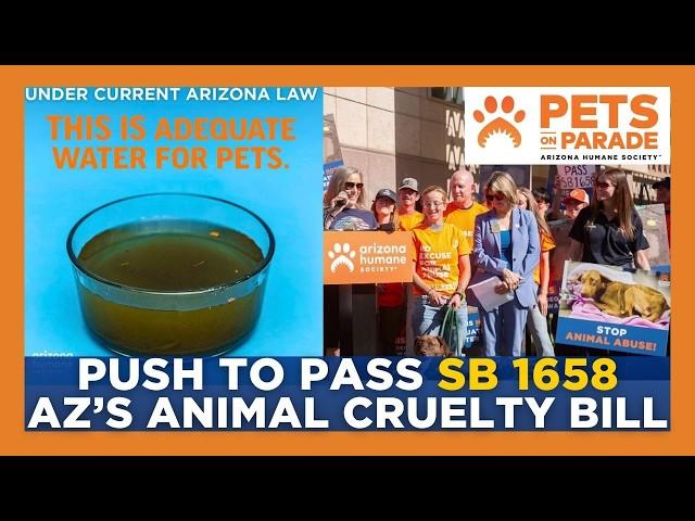 Strengthening Arizona's Animal Cruelty Laws | Pets on Parade (May 24, 2025)
