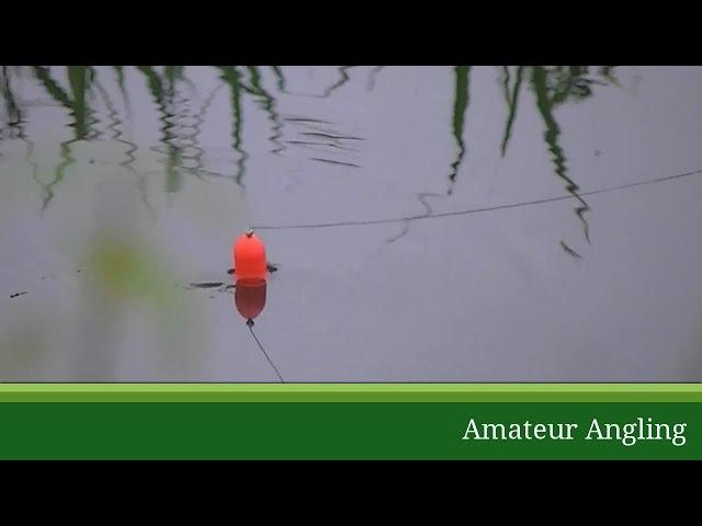 Float paternoster dead bait pike rig